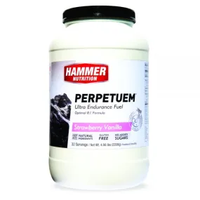 Hammer Perpetuem (32 Porciones)