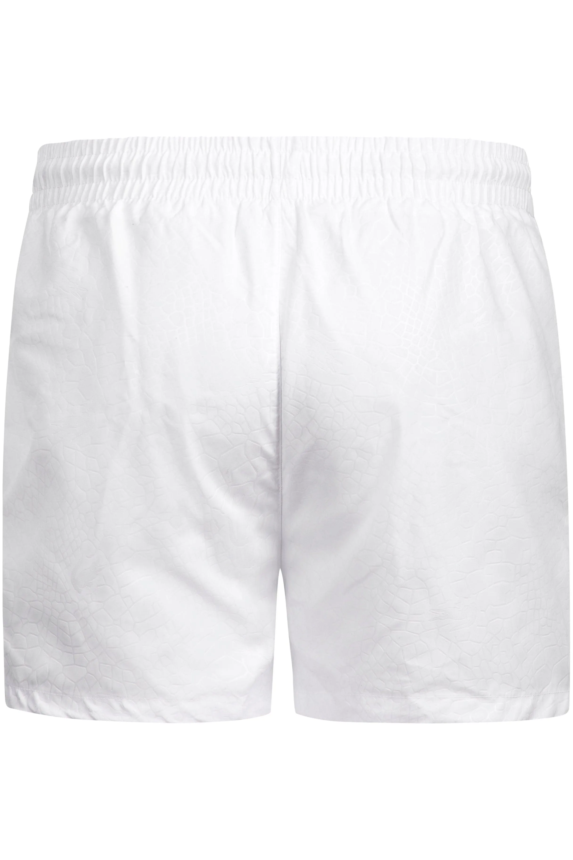 Lacoste Swim Shorts