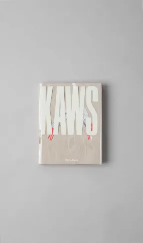 Libro - KAWS