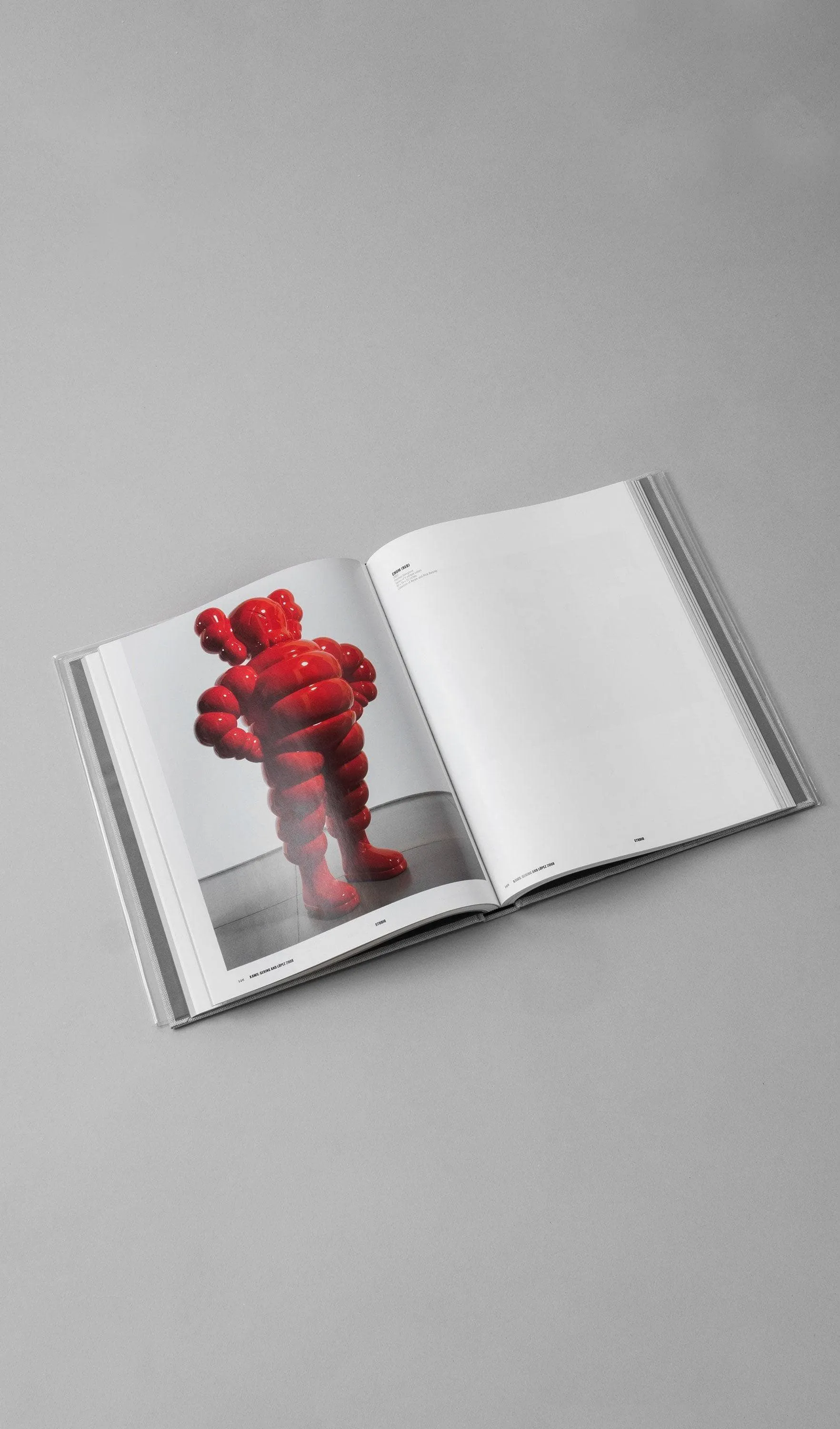 Libro - KAWS