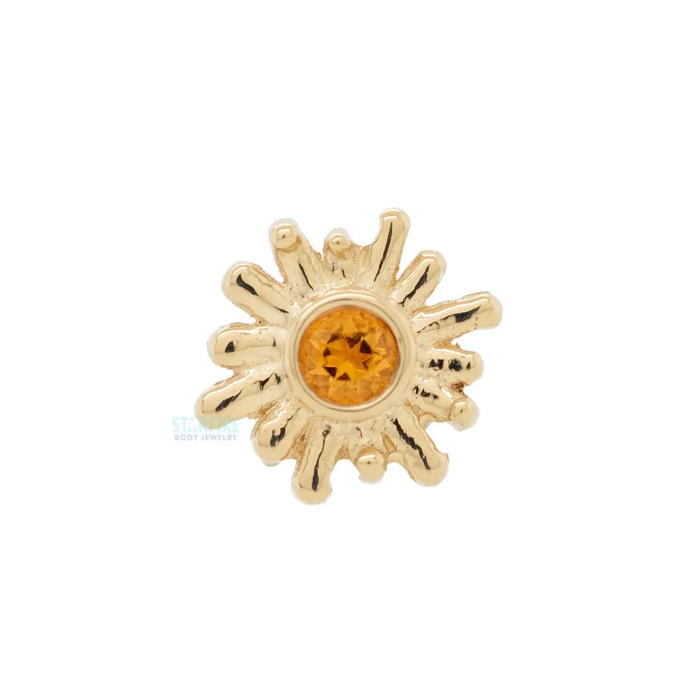 Sun Ray Nostril Screw in Gold with Citrine