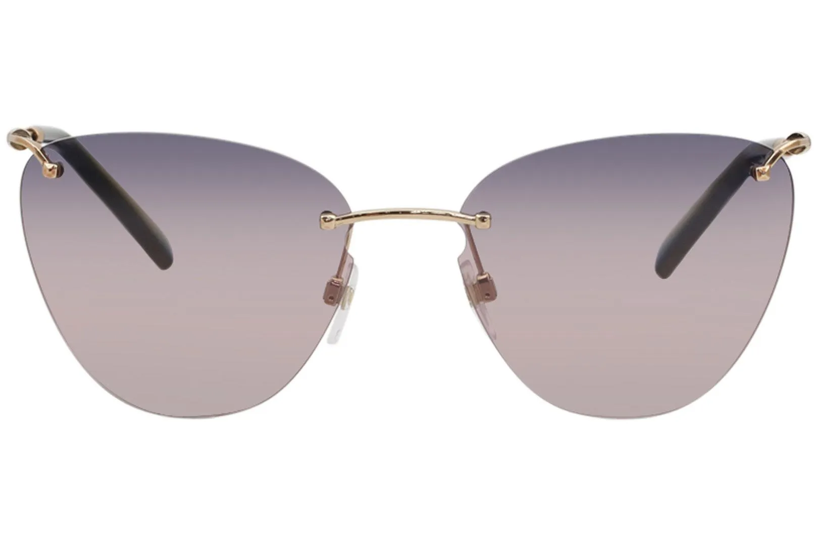 Valentino Women's VA2022 VA/2022 Fashion Cat Eye Sunglasses